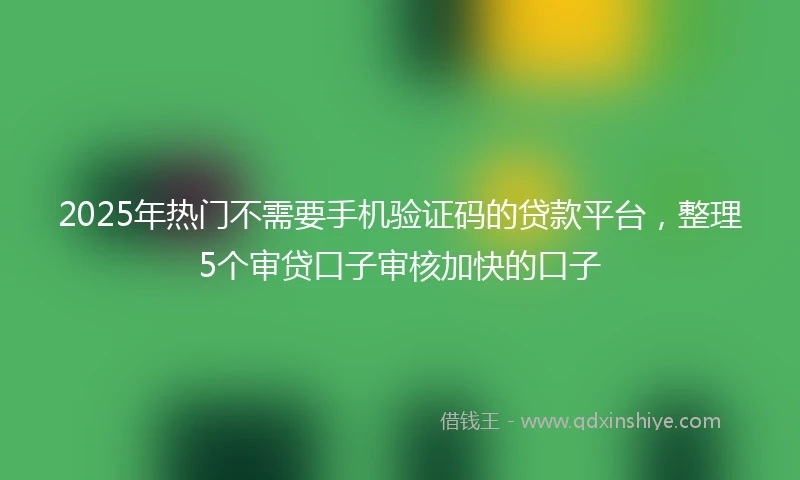 2025年热门不需要手机验证码的贷款平台，整理5个审贷口子审核加快的口子