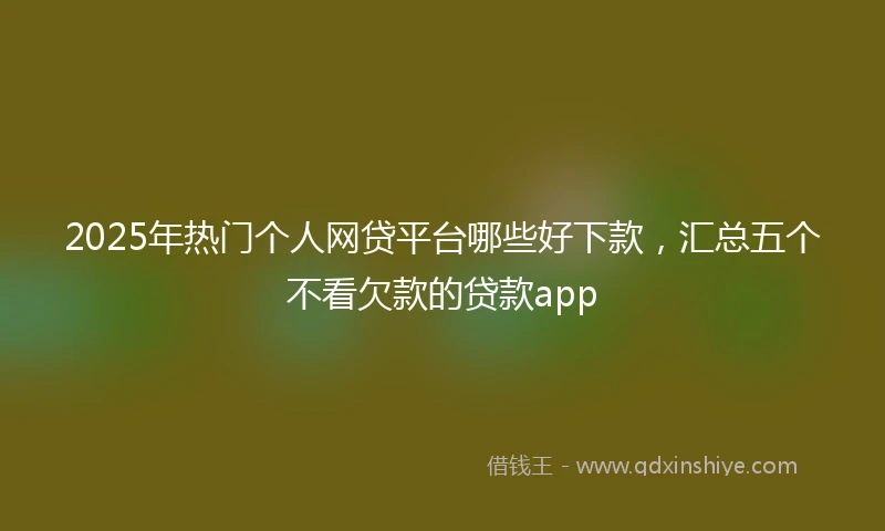 2025年热门个人网贷平台哪些好下款，汇总五个不看欠款的贷款app