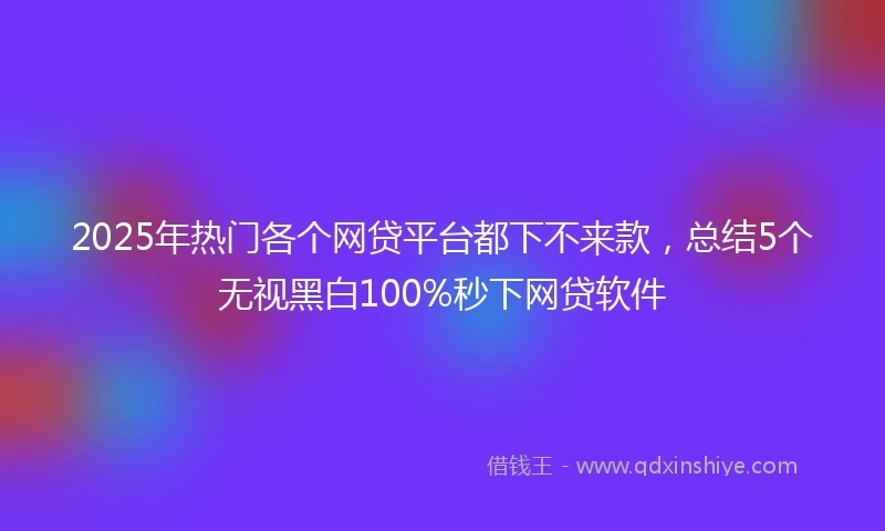 2025年热门各个网贷平台都下不来款，总结5个无视黑白100%秒下网贷软件