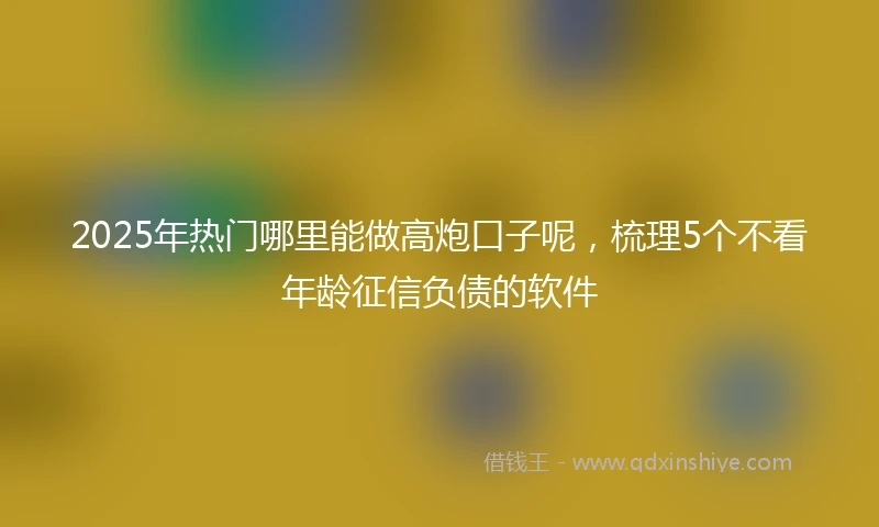 2025年热门哪里能做高炮口子呢，梳理5个不看年龄征信负债的软件