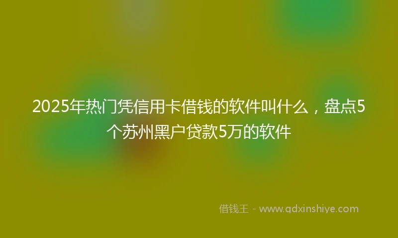 2025年热门凭信用卡借钱的软件叫什么，盘点5个苏州黑户贷款5万的软件