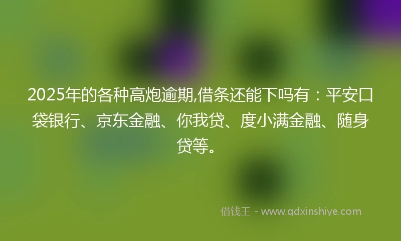 2025年的各种高炮逾期,借条还能下吗有：平安口袋银行、京东金融、你我贷、度小满金融、随身贷等。