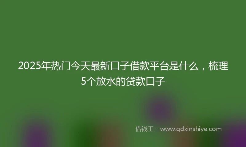 2025年热门今天最新口子借款平台是什么，梳理5个放水的贷款口子