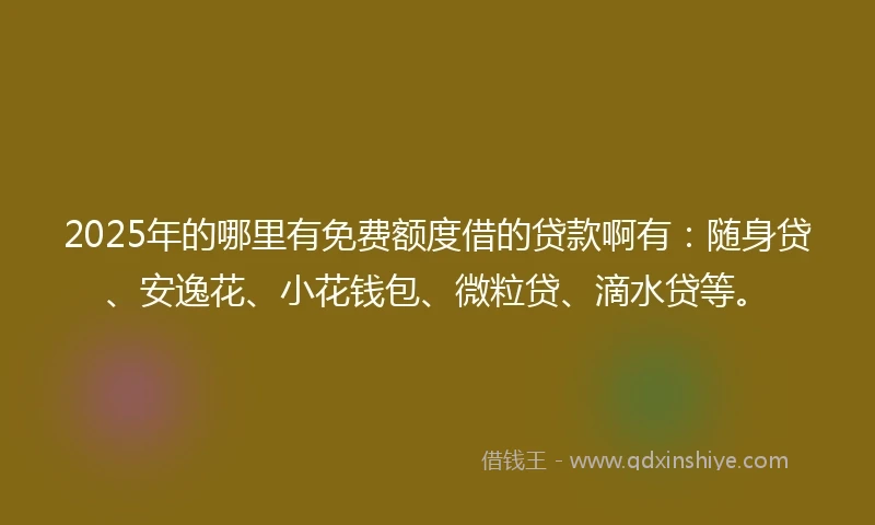 2025年的哪里有免费额度借的贷款啊有：随身贷、安逸花、小花钱包、微粒贷、滴水贷等。