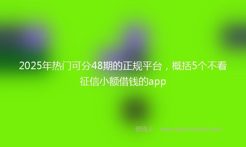 2025年热门可分48期的正规平台,概括5个不看征信小额借钱的app