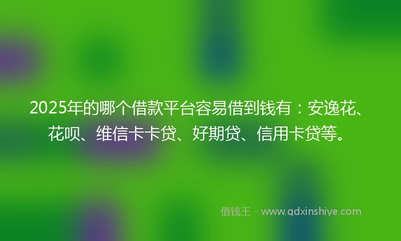 2025年的哪个借款平台容易借到钱有：安逸花、花呗、维信卡卡贷、好期贷、信用卡贷等。