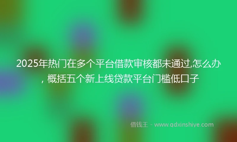 2025年热门在多个平台借款审核都未通过,怎么办，概括五个新上线贷款平台门槛低口子
