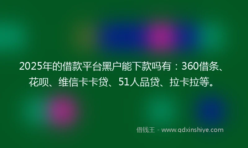 2025年的借款平台黑户能下款吗有：360借条、花呗、维信卡卡贷、51人品贷、拉卡拉等。