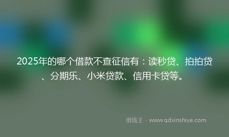 2025年的哪个借款不查征信有：读秒贷、拍拍贷、分期乐、小米贷款、信用卡贷等。