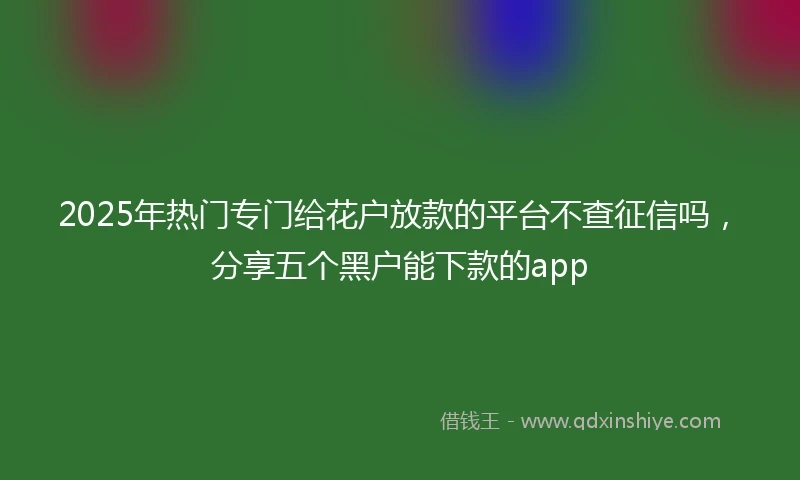 2025年热门专门给花户放款的平台不查征信吗,分享五个黑户能下款的app