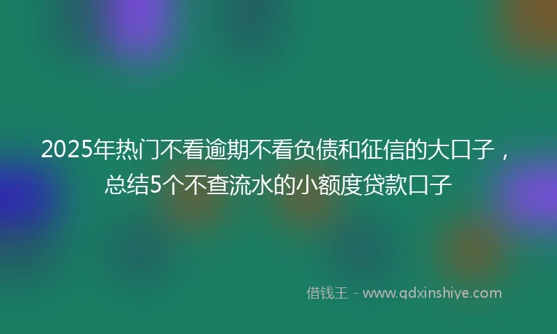 2025年热门不看逾期不看负债和征信的大口子，总结5个不查流水的小额度贷款口子