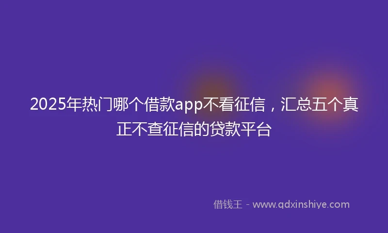 2025年热门哪个借款app不看征信，汇总五个真正不查征信的贷款平台