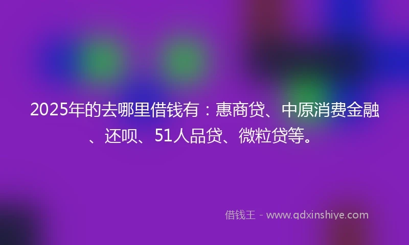 2025年的去哪里借钱有：惠商贷、中原消费金融、还呗、51人品贷、微粒贷等。