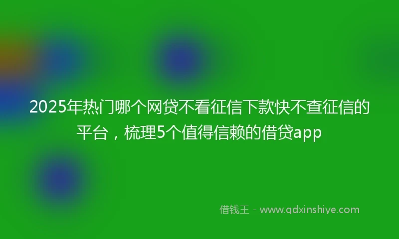 2025年热门哪个网贷不看征信下款快不查征信的平台，梳理5个值得信赖的借贷app
