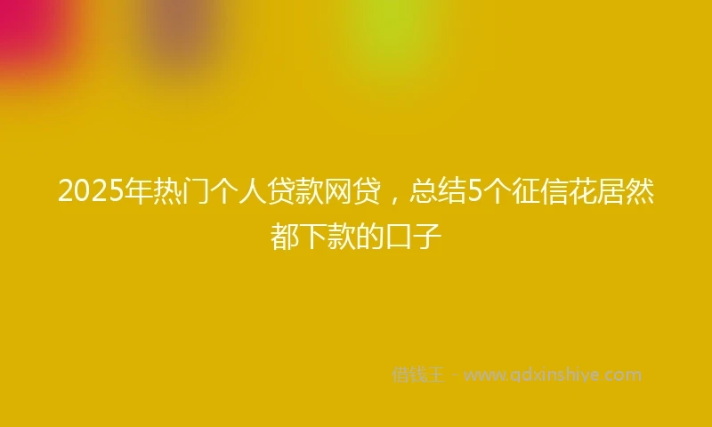 2025年热门个人贷款网贷,总结5个征信花居然都下款的口子