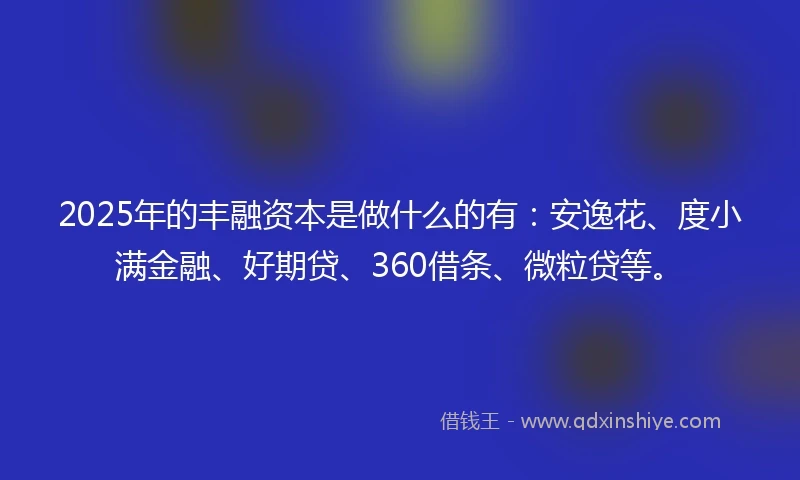 2025年的丰融资本是做什么的有:安逸花、度小满金融、好期贷、360借条、微粒贷等。
