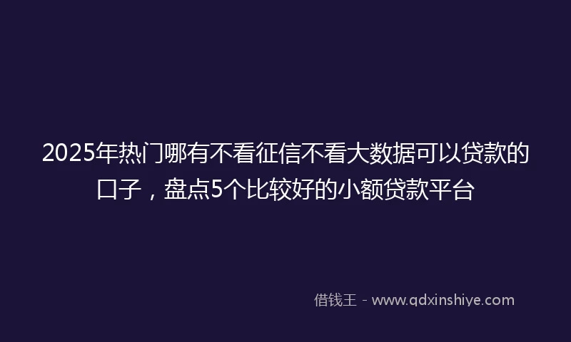 2025年热门哪有不看征信不看大数据可以贷款的口子，盘点5个比较好的小额贷款平台