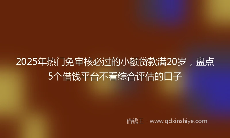 2025年热门免审核必过的小额贷款满20岁，盘点5个借钱平台不看综合评估的口子