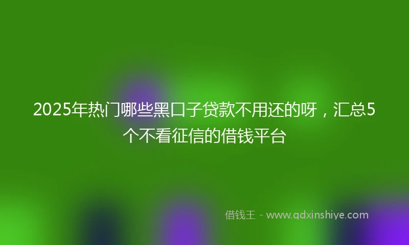 2025年热门哪些黑口子贷款不用还的呀，汇总5个不看征信的借钱平台