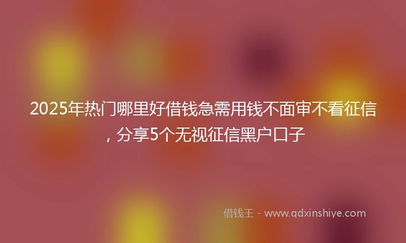 2025年热门哪里好借钱急需用钱不面审不看征信，分享5个无视征信黑户口子