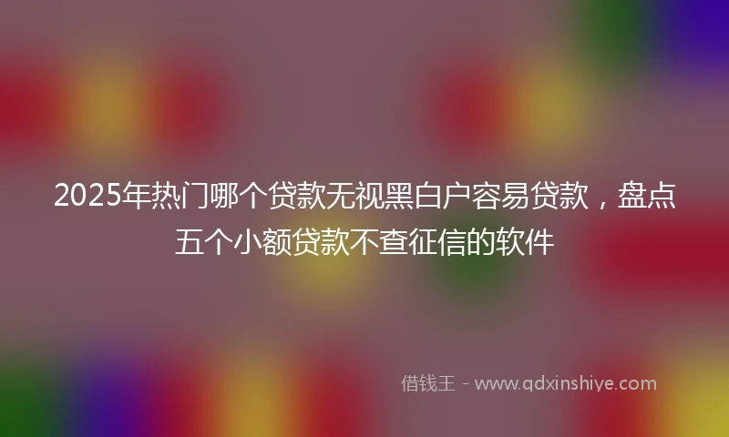 2025年热门哪个贷款无视黑白户容易贷款，盘点五个小额贷款不查征信的软件