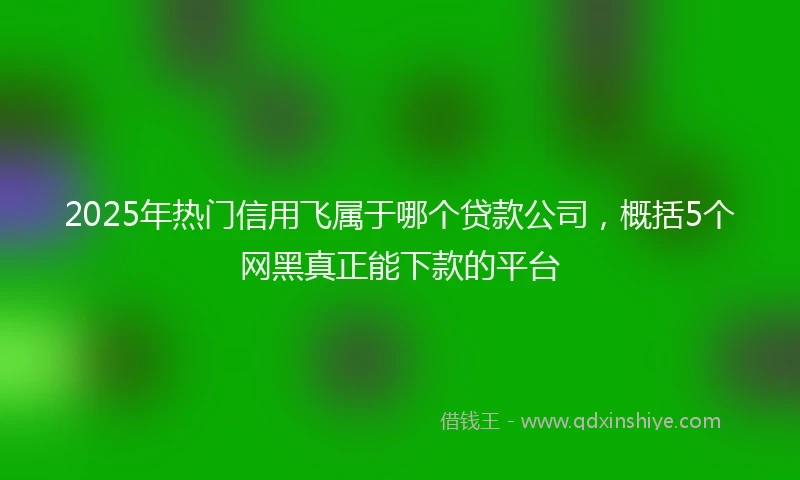 2025年热门信用飞属于哪个贷款公司，概括5个网黑真正能下款的平台