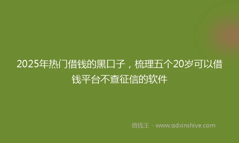 2025年热门借钱的黑口子，梳理五个20岁可以借钱平台不查征信的软件