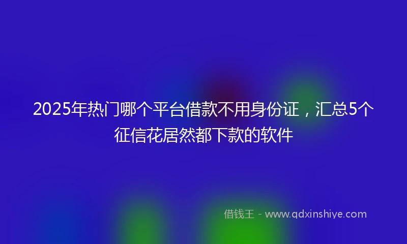 2025年热门哪个平台借款不用身份证，汇总5个征信花居然都下款的软件