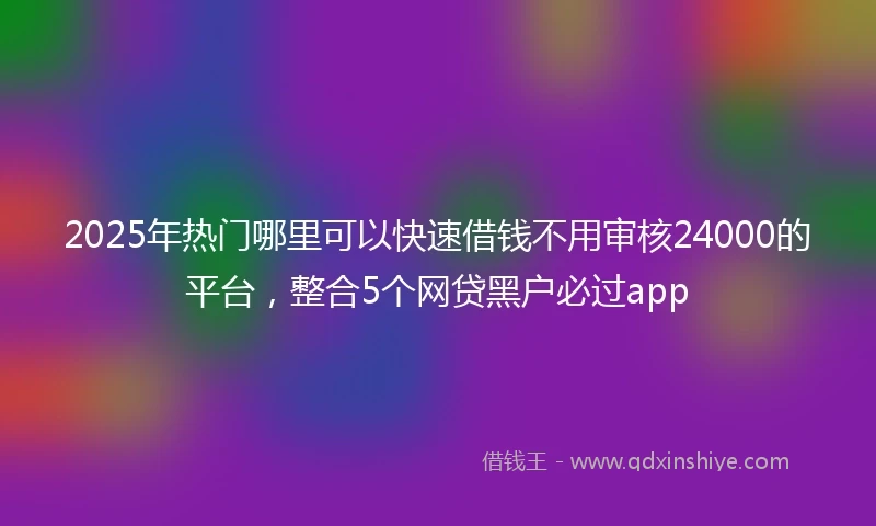 2025年热门哪里可以快速借钱不用审核24000的平台，整合5个网贷黑户必过app