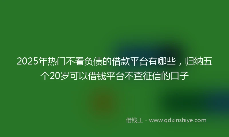 2025年热门不看负债的借款平台有哪些，归纳五个20岁可以借钱平台不查征信的口子