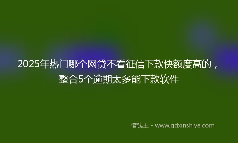 2025年热门哪个网贷不看征信下款快额度高的，整合5个逾期太多能下款软件
