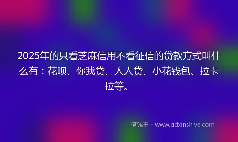 2025年的只看芝麻信用不看征信的贷款方式叫什么有：花呗、你我贷、人人贷、小花钱包、拉卡拉等。