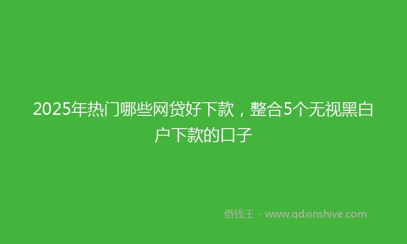 2025年热门哪些网贷好下款，整合5个无视黑白户下款的口子