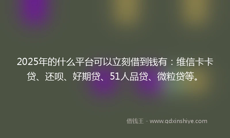 2025年的什么平台可以立刻借到钱有：维信卡卡贷、还呗、好期贷、51人品贷、微粒贷等。
