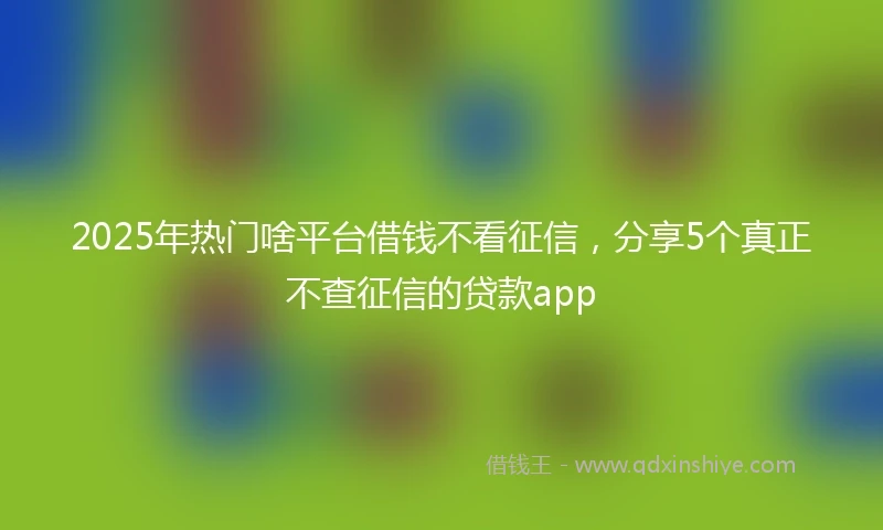 2025年热门啥平台借钱不看征信，分享5个真正不查征信的贷款app