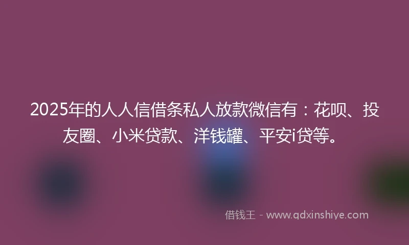 2025年的人人信借条私人放款微信有：花呗、投友圈、小米贷款、洋钱罐、平安i贷等。