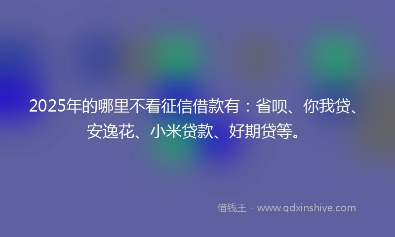 2025年的哪里不看征信借款有：省呗、你我贷、安逸花、小米贷款、好期贷等。