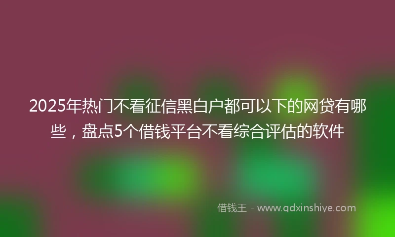 2025年热门不看征信黑白户都可以下的网贷有哪些,盘点5个借钱平台不看综合评估的软件