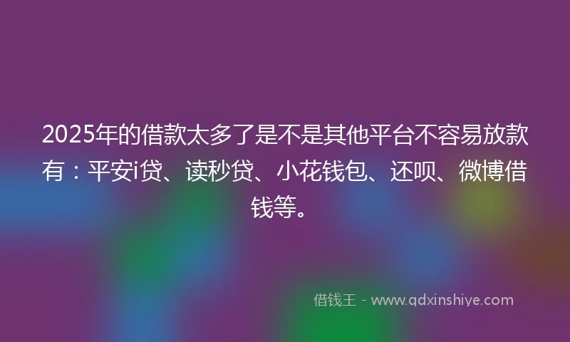 2025年的借款太多了是不是其他平台不容易放款有：平安i贷、读秒贷、小花钱包、还呗、微博借钱等。