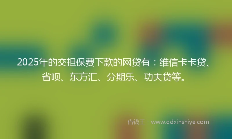 2025年的交担保费下款的网贷有:维信卡卡贷、省呗、东方汇、分期乐、功夫贷等。
