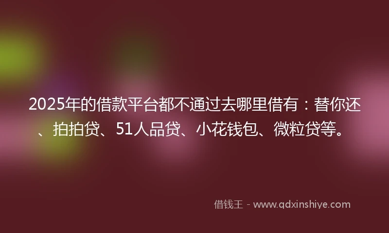 2025年的借款平台都不通过去哪里借有：替你还、拍拍贷、51人品贷、小花钱包、微粒贷等。