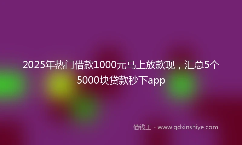 2025年热门借款1000元马上放款现，汇总5个5000块贷款秒下app