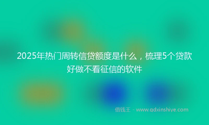 2025年热门周转信贷额度是什么，梳理5个贷款好做不看征信的软件