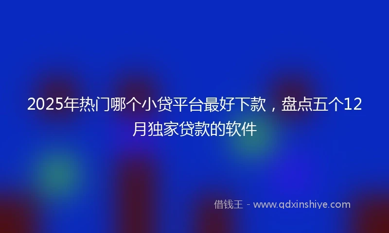 2025年热门哪个小贷平台最好下款，盘点五个12月独家贷款的软件