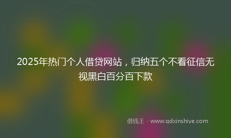 2025年热门个人借贷网站，归纳五个不看征信无视黑白百分百下款