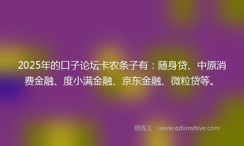 2025年的口子论坛卡农条子有：随身贷、中原消费金融、度小满金融、京东金融、微粒贷等。