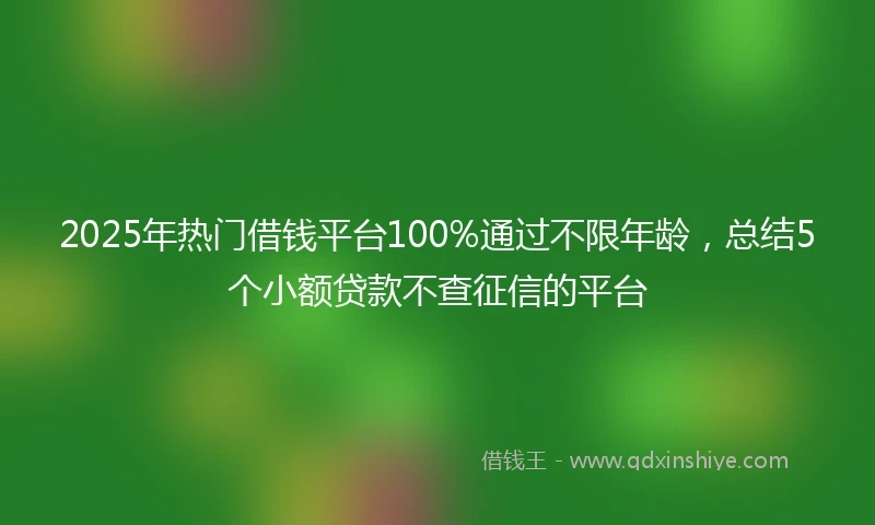 2025年热门借钱平台100%通过不限年龄，总结5个小额贷款不查征信的平台