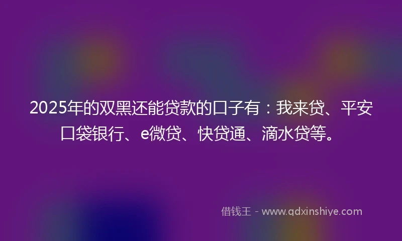 2025年的双黑还能贷款的口子有：我来贷、平安口袋银行、e微贷、快贷通、滴水贷等。