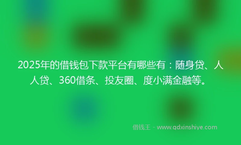 2025年的借钱包下款平台有哪些有：随身贷、人人贷、360借条、投友圈、度小满金融等。
