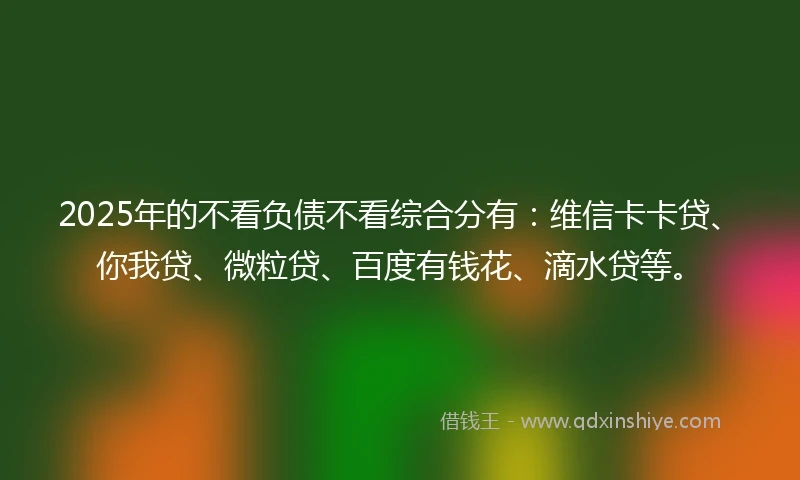 2025年的不看负债不看综合分有：维信卡卡贷、你我贷、微粒贷、百度有钱花、滴水贷等。
